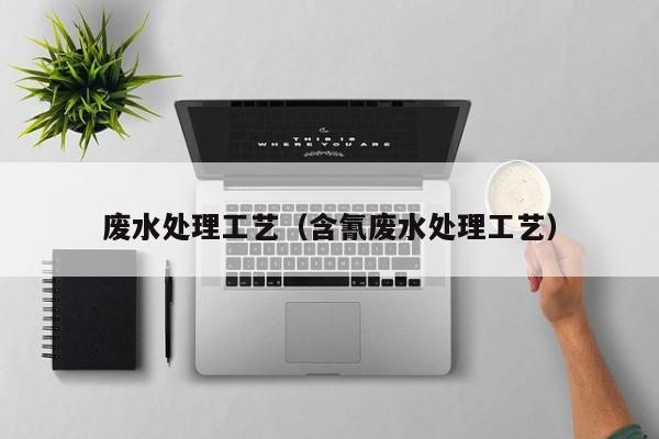 废水处理工艺（含氰废水处理工艺）
